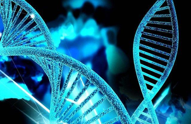 ارائه روش های تشخیص بیماری های نادر ژنتیکی جنین در پژوهشگاه ژنتیک، اجرای پروژه بین المللی