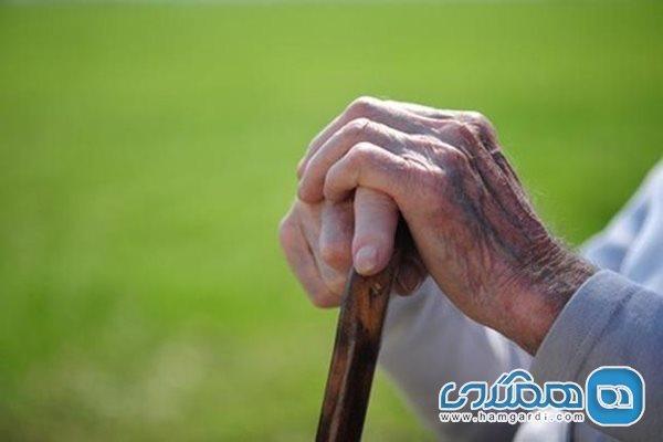 عواملی که سیستم ایمنی سالمندان را دچار اختلال می کند
