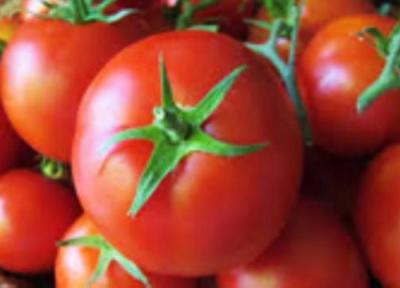 فوائد گوجه فرنگی در سلامت
