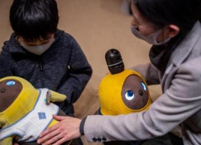 این میلیاردر عجیب و غریب ژاپنی، مایوس از یافتن عشق انسانی، یک شرکت فراوری ربات های اجتماعی، احساسی را خریده تا قلبش را التیام دهد!